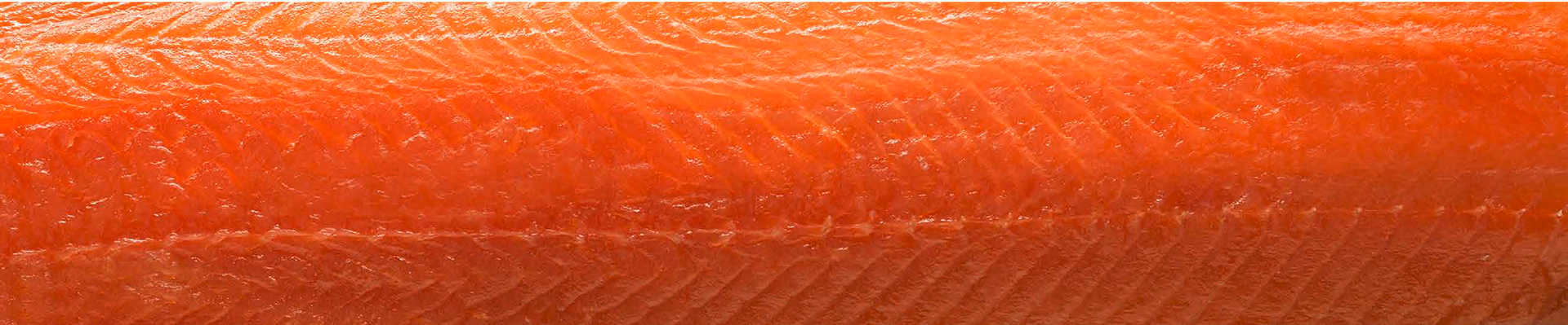 textura de salmón